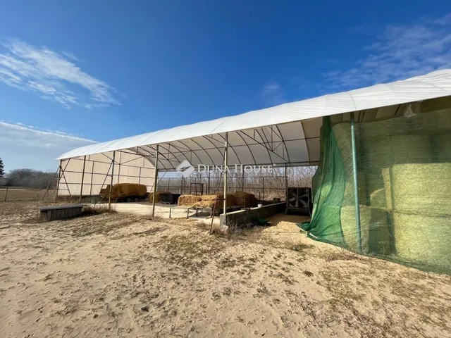 Eladó mezőgazdasági ingatlan Bugac 252 nm