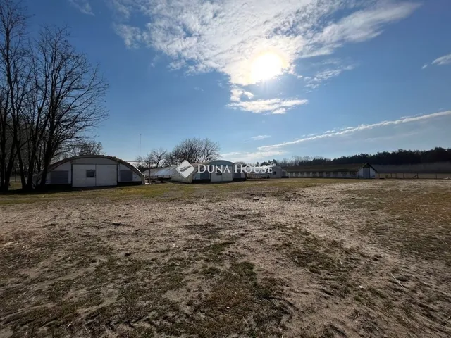 Eladó mezőgazdasági ingatlan Bugac 252 nm