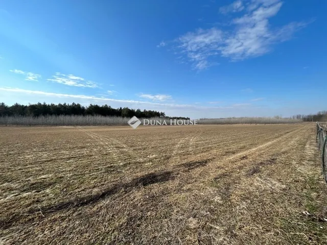 Eladó mezőgazdasági ingatlan Bugac 252 nm