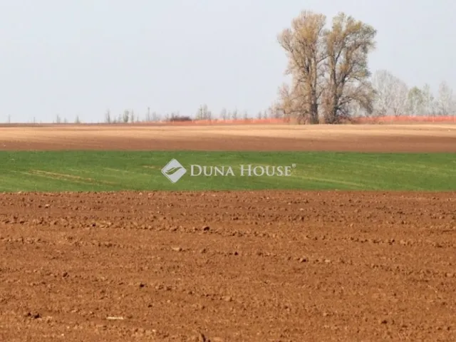 Eladó telek Kisszállás 1739 nm