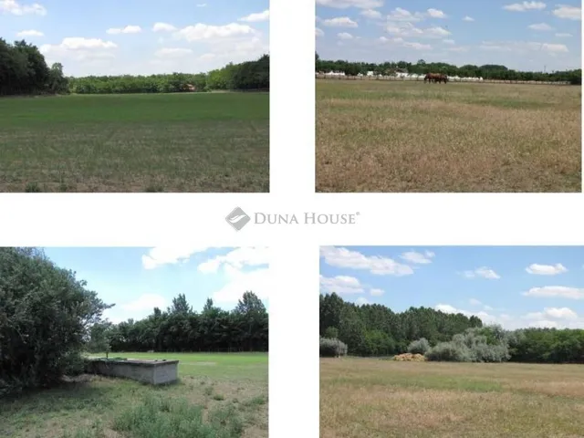 Eladó mezőgazdasági ingatlan Lajosmizse 330000 nm