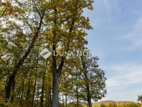 Eladó telek Felsőtárkány 589560 nm