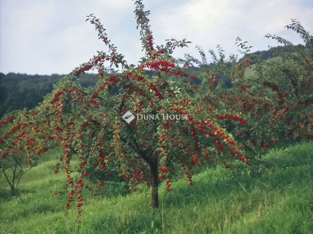 Eladó telek Fülöpháza 64302 nm