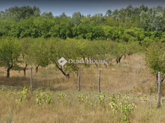 Eladó telek Fülöpháza 64302 nm