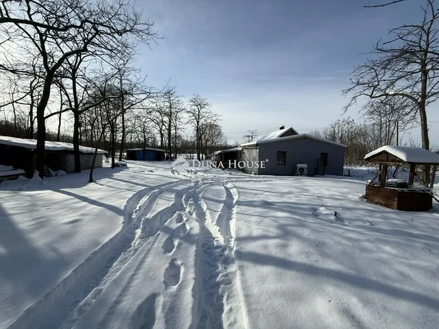 Eladó mezőgazdasági ingatlan Szabadszállás 80 nm