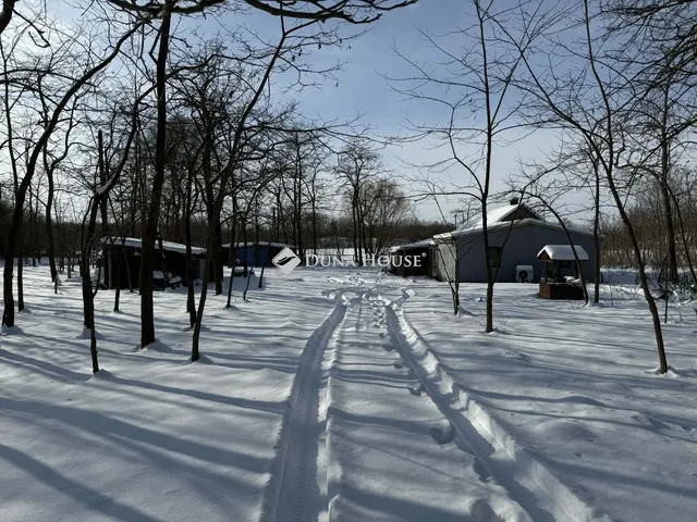 Eladó mezőgazdasági ingatlan Szabadszállás 80 nm