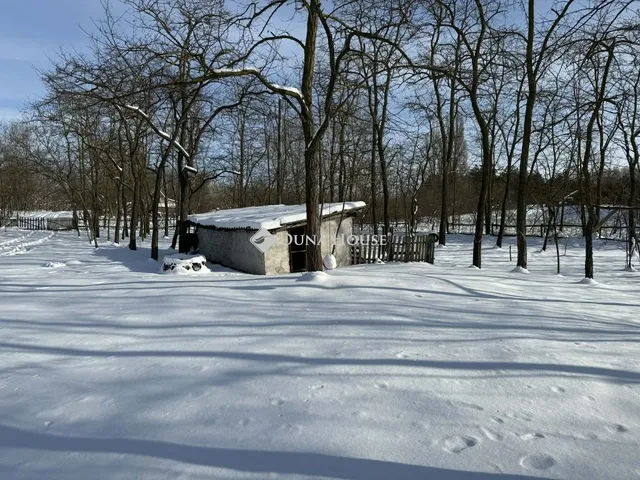 Eladó mezőgazdasági ingatlan Szabadszállás 80 nm