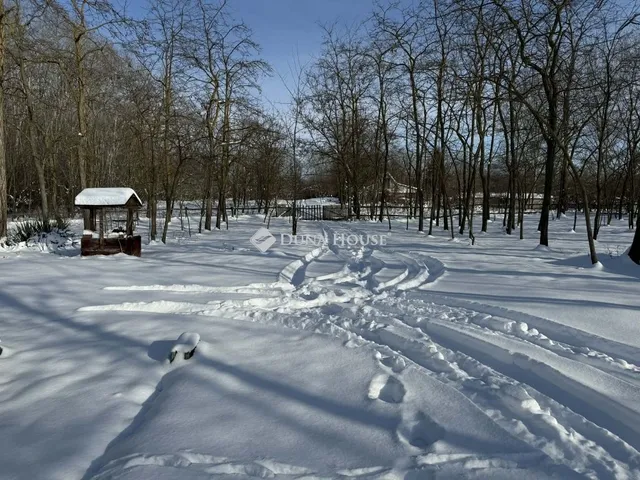Eladó mezőgazdasági ingatlan Szabadszállás 80 nm