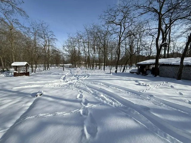 Eladó mezőgazdasági ingatlan Szabadszállás 80 nm