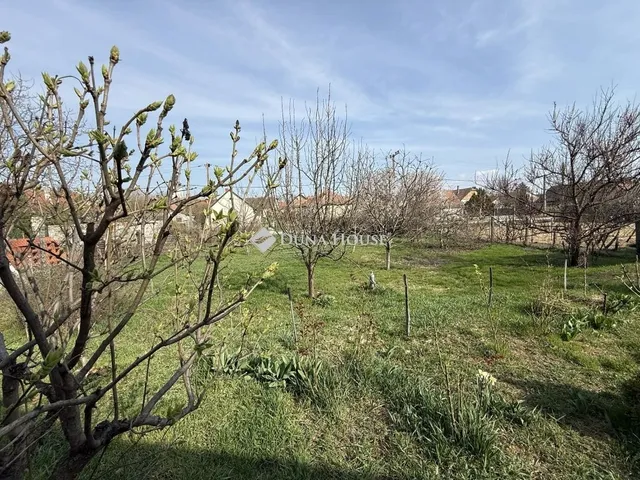 Eladó ház Szabadszállás 90 nm