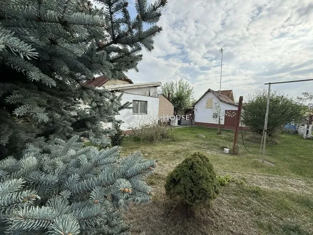 Eladó mezőgazdasági ingatlan Kecskemét 70 nm