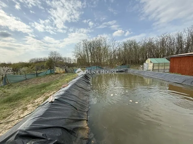 Eladó mezőgazdasági ingatlan Kecskemét 70 nm
