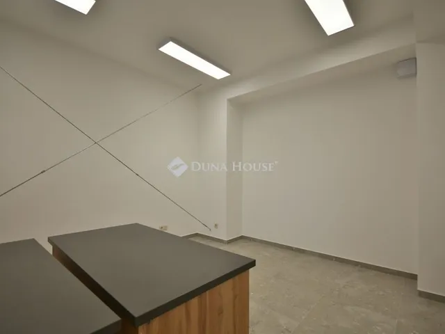 Kiadó kereskedelmi és ipari ingatlan Alsónémedi 671 nm