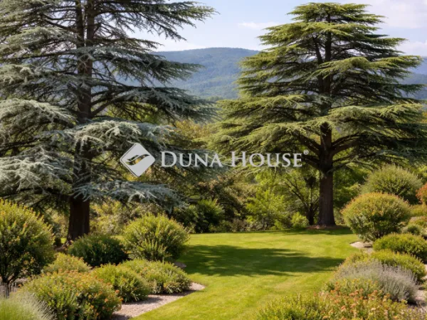 Eladó telek Budapest II. kerület 964 nm