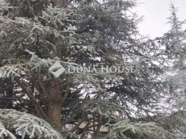 Eladó telek Budapest II. kerület, Budaliget 964 nm