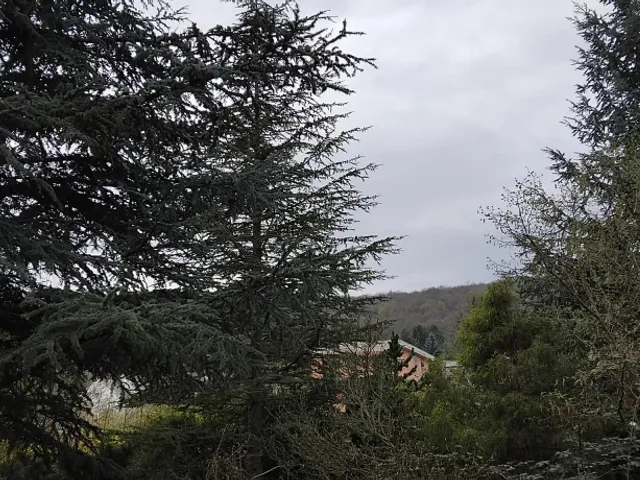 Eladó telek Budapest II. kerület, Budaliget 964 nm