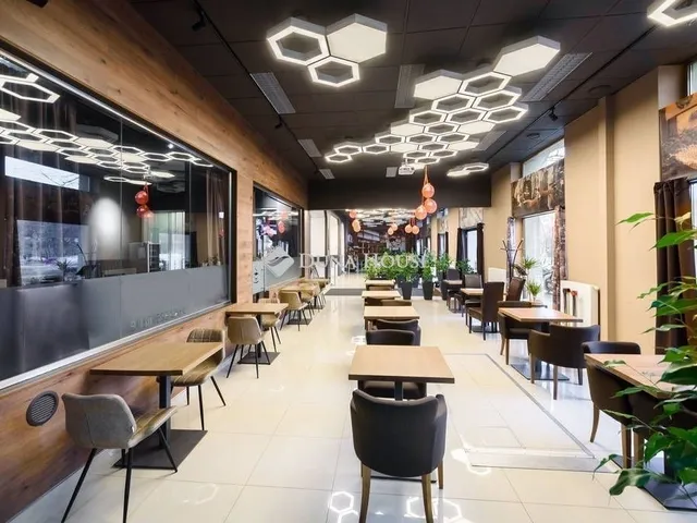 Kiadó kereskedelmi és ipari ingatlan Budapest IX. kerület, Rehabilitációs terület IX. ker. 765 nm