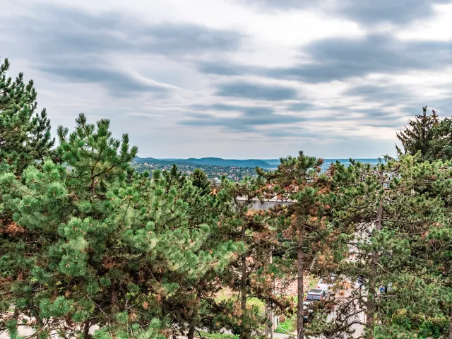 Eladó lakás Budapest XII. kerület 139 nm