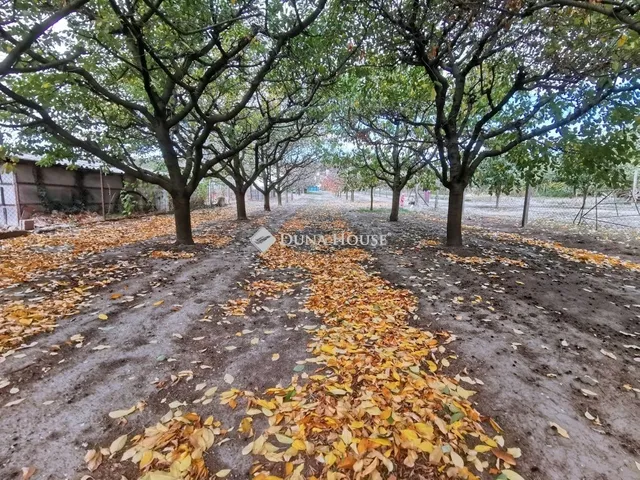Eladó telek Zsámbék 836 nm