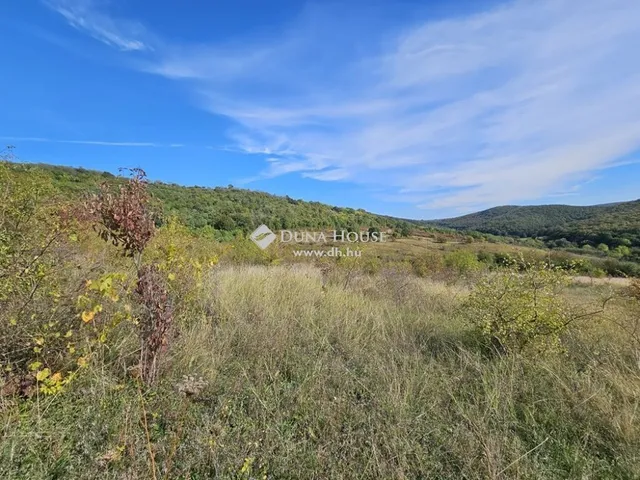 Eladó mezőgazdasági ingatlan Penc 133071 nm