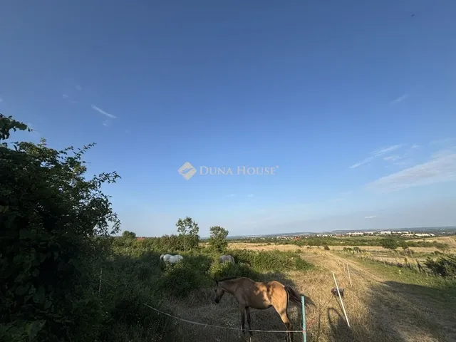 Eladó mezőgazdasági ingatlan Szentendre 5277 nm