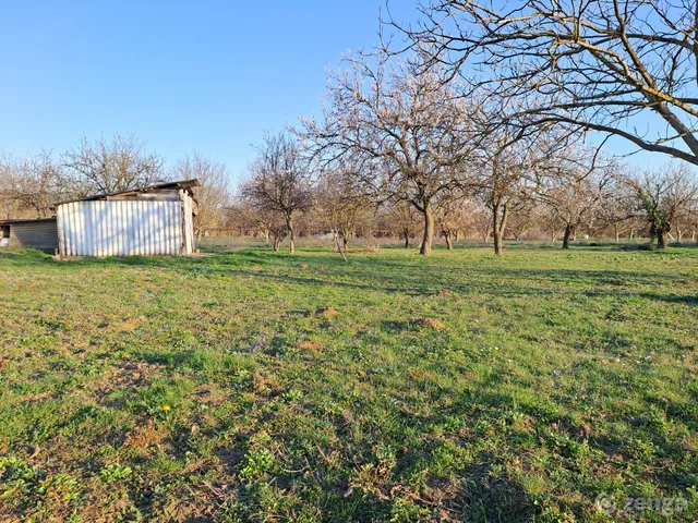 Eladó telek Szeged, Újszeged 1133 nm