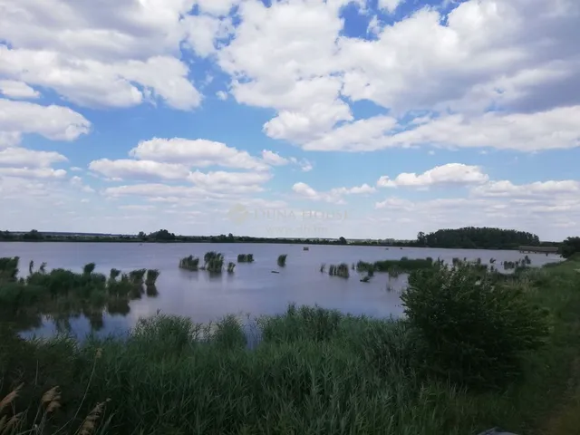 Eladó mezőgazdasági ingatlan Tiszasüly 645000 nm