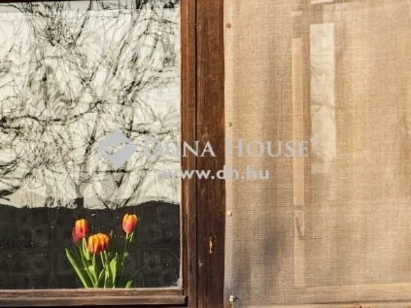 Eladó ház Tápiószecső 220 nm