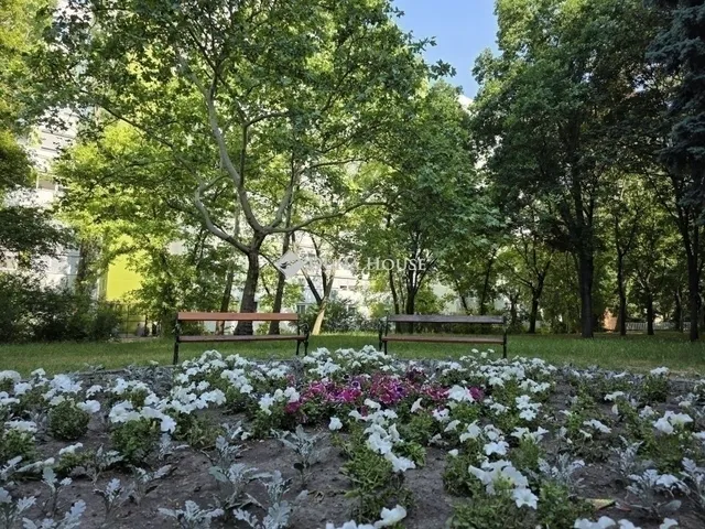 Eladó lakás Budapest XIV. kerület 46 nm