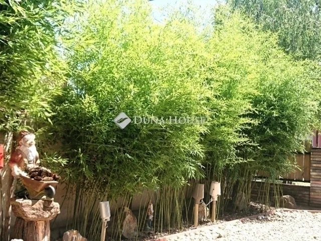 Eladó ház Budapest XVIII. kerület, Szent Imre kertváros 300 nm