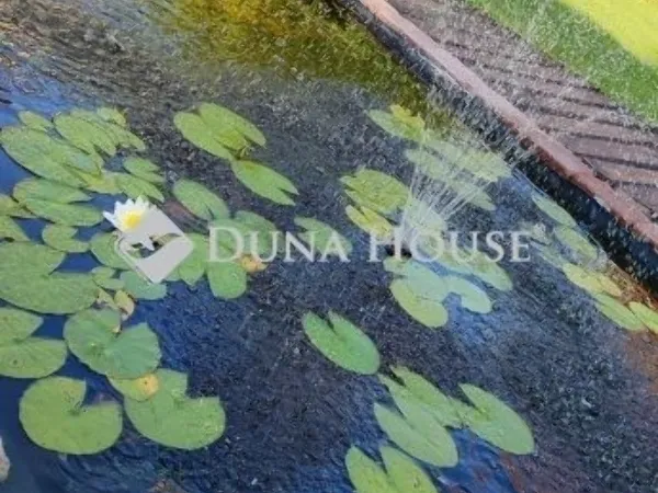 Eladó ház Monor 134 nm