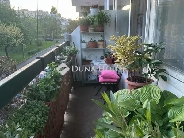 Eladó lakás Budapest XX. kerület 55 nm