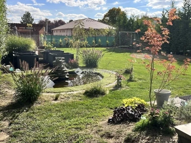 Eladó ház Halásztelek 262 nm