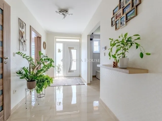 Eladó ház Üllő 217 nm