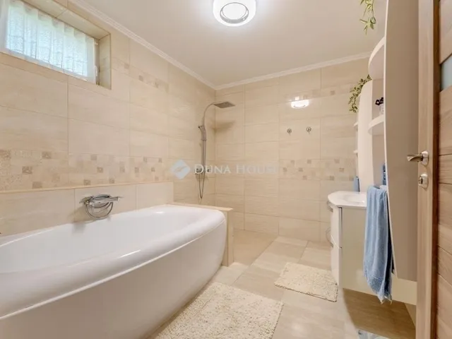 Eladó ház Üllő 217 nm