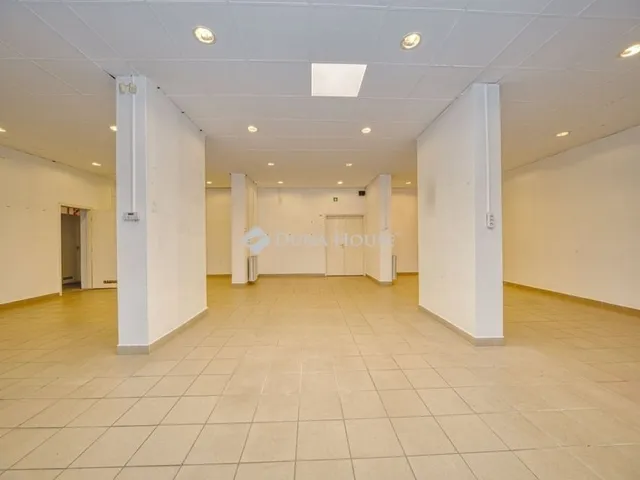 Eladó kereskedelmi és ipari ingatlan Budapest XIX. kerület 169 nm