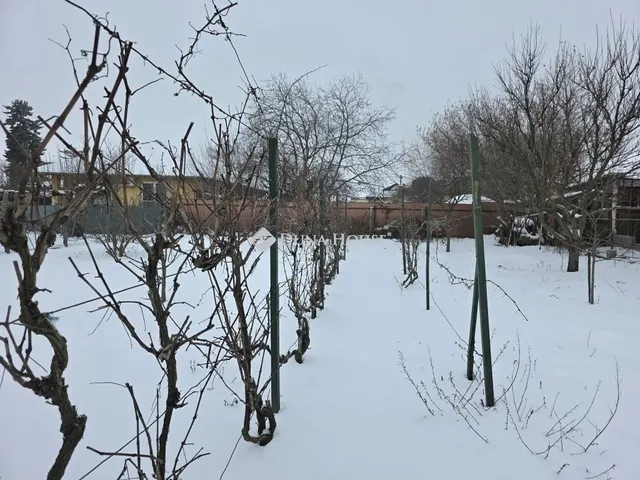 Eladó ház Gyömrő 213 nm