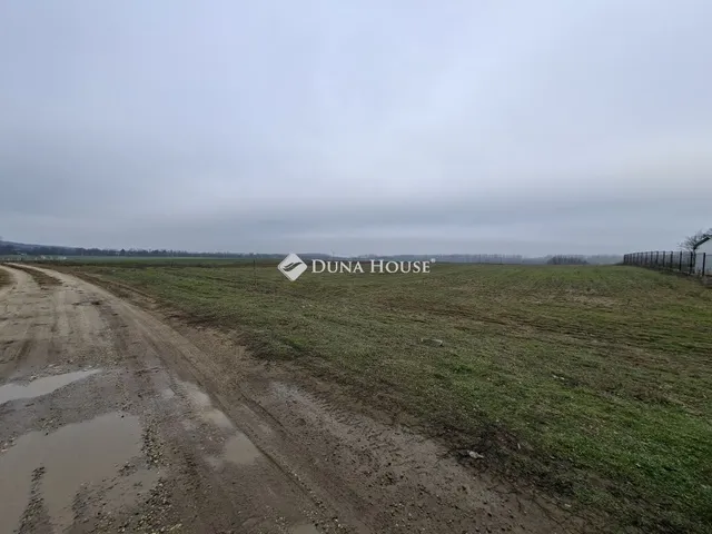 Eladó ház Sülysáp 120 nm