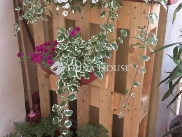 Eladó ház Inárcs 215 nm