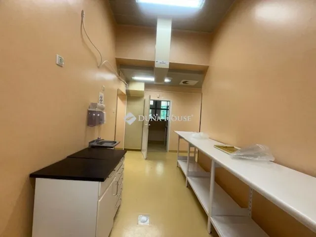 Eladó kereskedelmi és ipari ingatlan Vecsés 344 nm