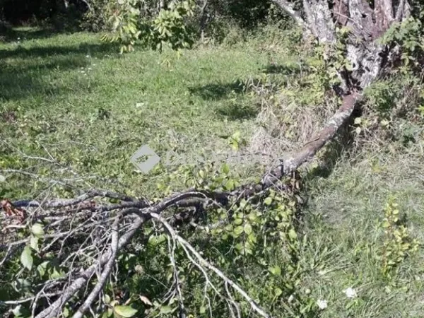 Eladó kereskedelmi és ipari ingatlan Monor 7643 nm