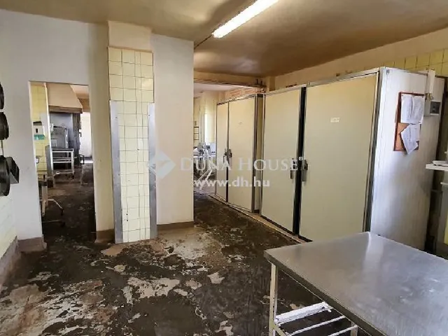 Eladó kereskedelmi és ipari ingatlan Békéscsaba 950 nm