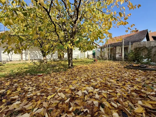 Eladó ház Békéscsaba 72 nm