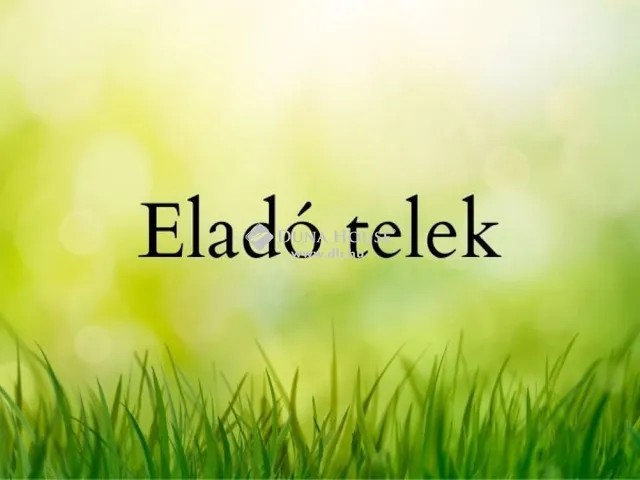 Eladó telek Szabadkígyós 4105 nm