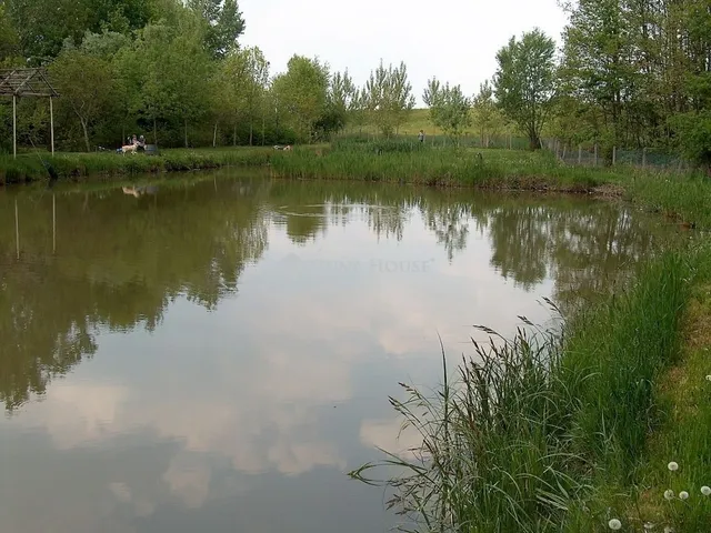 Eladó telek Gyula 8169 nm