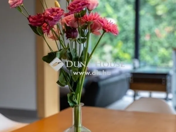 Eladó ház Diósd 307 nm