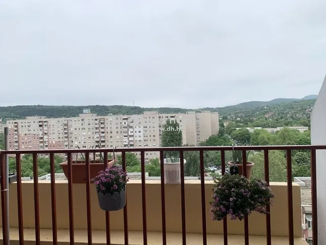 Eladó lakás Budapest III. kerület 50 nm