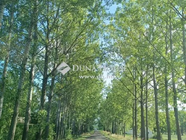 Eladó kereskedelmi és ipari ingatlan Pilismarót 228 nm