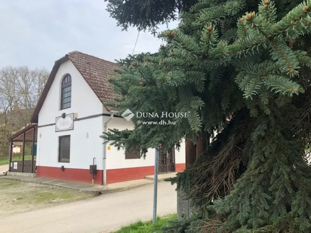 Eladó ház Dömös 160 nm