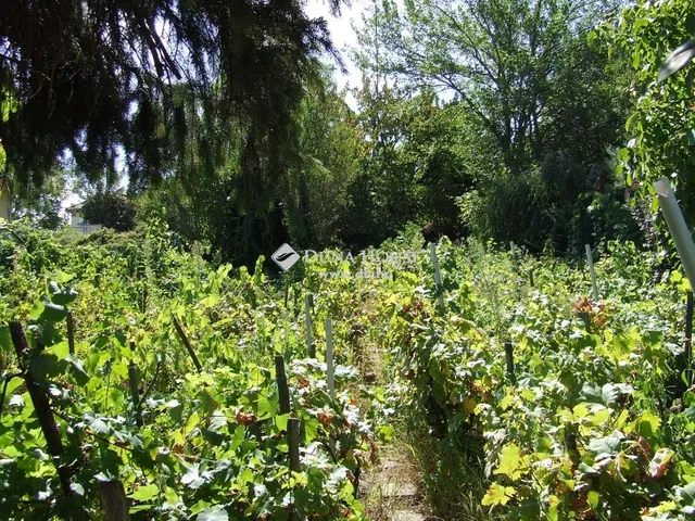 Eladó telek Esztergom 1216 nm